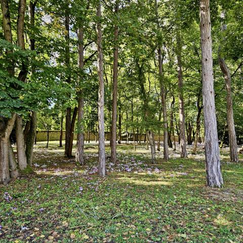 Savonnières (37510) Propriété avec parc boisé