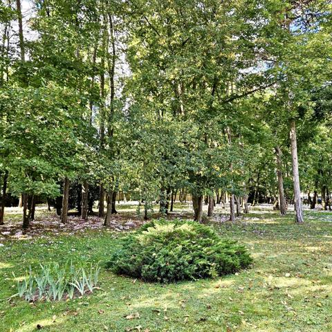 Savonnières (37510) Propriété avec parc boisé