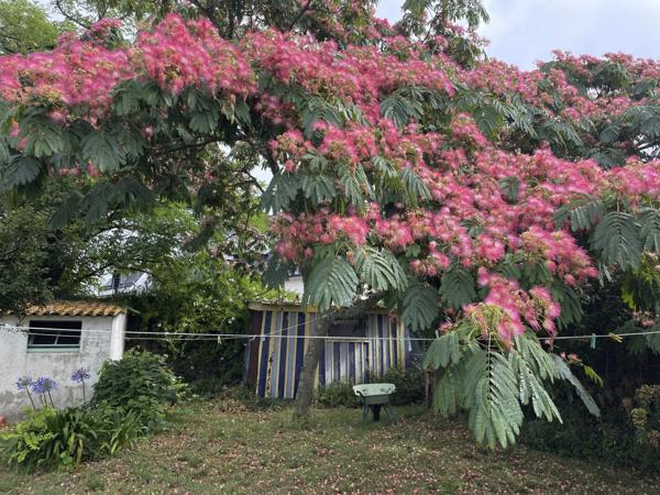 Presqu’ile de Rhuys, une histoire bretonne entre mer et jardin. ARZON (56)