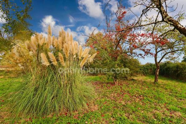 Maison entièrement rénovée sur deux niveaux indépendants de 129 m² - 6 pièces - 3 chambres sur terrain clos de 1744 m² - 87210 LE DORAT