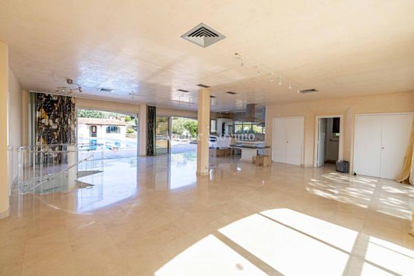 Domaine d’Exception à Plan-de-la-Tour – Propriété Unique sur 11 487 m² : 4 Villas, Parc Arboré, Piscines, Spa,