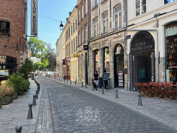 VIEUX LILLE TRIANGLE D'OR T2 DERNIER ETAGE