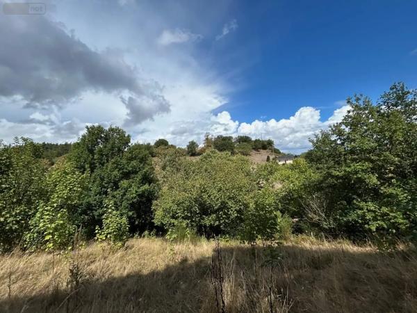 Achat - Terrain de loisirs, bois, étangs Château-Gontier-sur-Mayenne 53200 2498 m 2