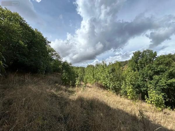 Achat - Terrain de loisirs, bois, étangs Château-Gontier-sur-Mayenne 53200 2498 m 2