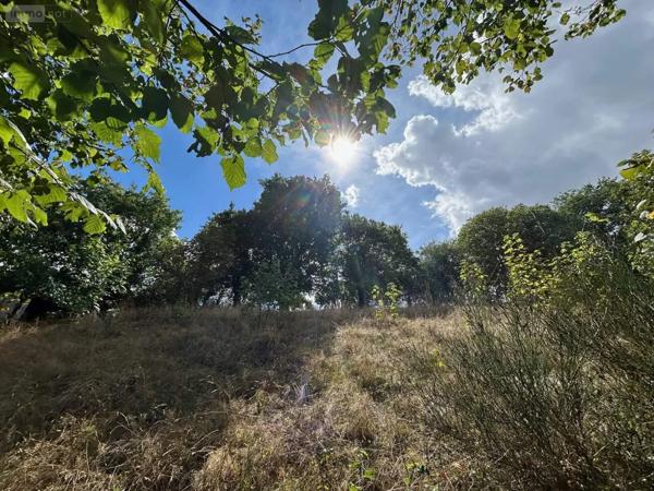 Achat - Terrain de loisirs, bois, étangs Château-Gontier-sur-Mayenne 53200 2498 m 2