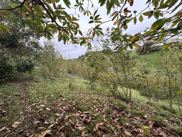 Achat - Terrain de loisirs, bois, étangs Château-Gontier-sur-Mayenne 53200 2498 m 2
