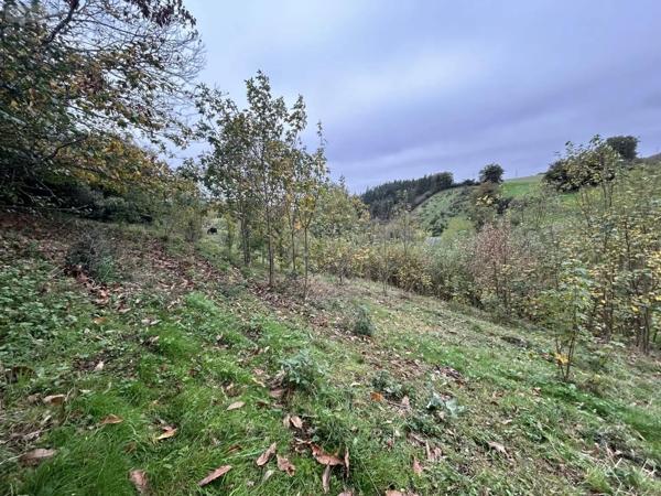Achat - Terrain de loisirs, bois, étangs Château-Gontier-sur-Mayenne 53200 2498 m 2
