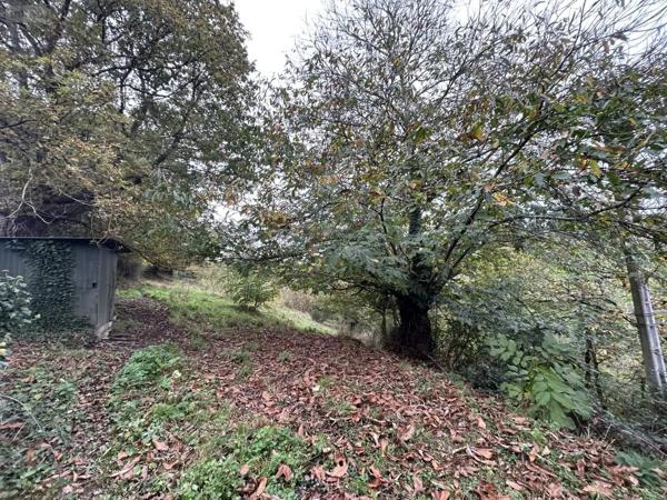 Achat - Terrain de loisirs, bois, étangs Château-Gontier-sur-Mayenne 53200 2498 m 2