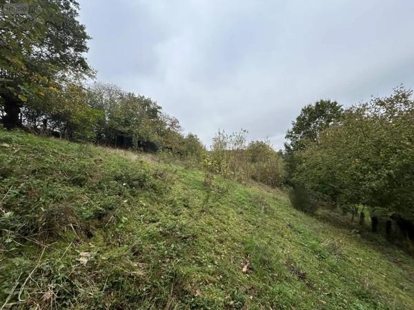 Achat - Terrain de loisirs, bois, étangs Château-Gontier-sur-Mayenne 53200 2498 m 2