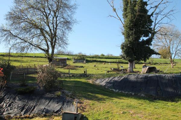 Maison à vendre 4 pièces 120 m² proche de MARMANDE (47)- Dépendances- Terrain 11 000m²