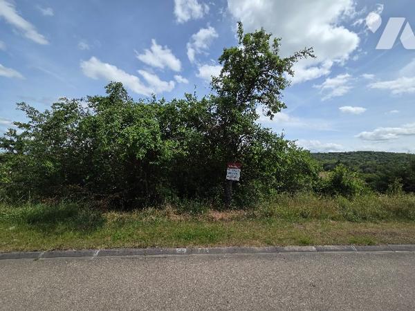 Terrain à bâtir - Viabilisable - CHOLOY MENILLOT