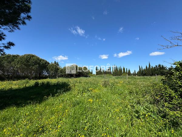 Achat terrain Saint-Cyprien - 28576 m² - 144 000 €