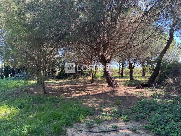 Achat terrain Saint-Cyprien - 28576 m² - 144 000 €
