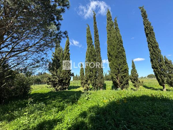 Achat terrain Saint-Cyprien - 28576 m² - 144 000 €