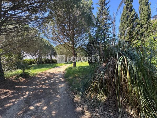 Achat terrain Saint-Cyprien - 28576 m² - 144 000 €