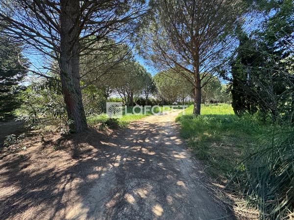 Achat terrain Saint-Cyprien - 28576 m² - 144 000 €