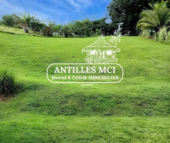 Terrain à la campagne