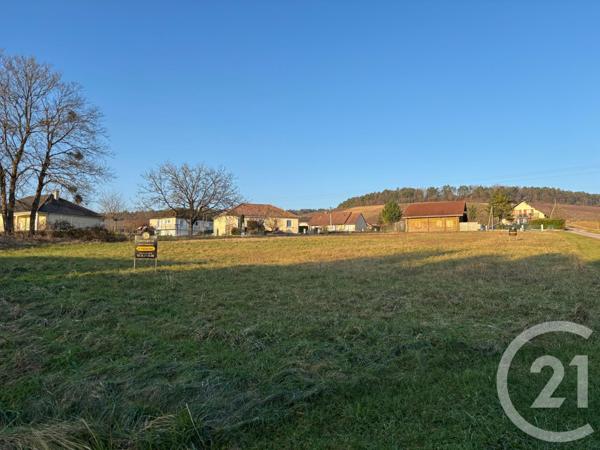 Terrain à vendre  3246 m2 AILLEVILLE - 10