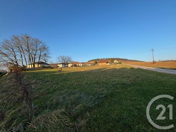 Terrain à vendre  3246 m2 AILLEVILLE - 10