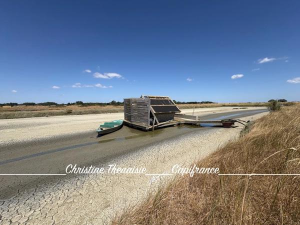 MARAIS avec cabane flottante à vendre Route du Sel à SAINT HILAIRE DE RIEZ (85)