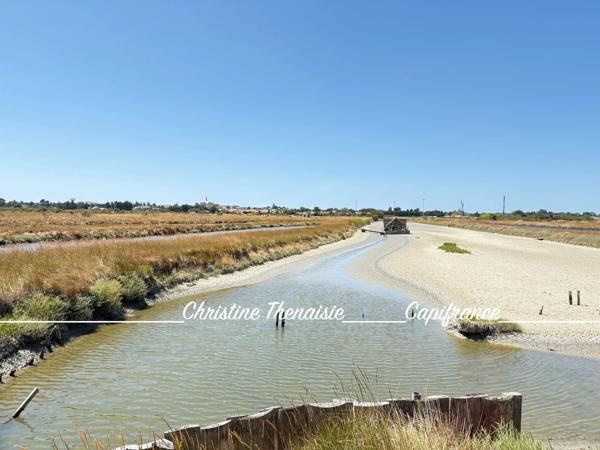 MARAIS avec cabane flottante à vendre Route du Sel à SAINT HILAIRE DE RIEZ (85)