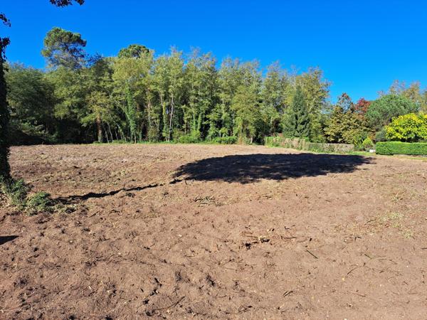 Terrain à bâtir