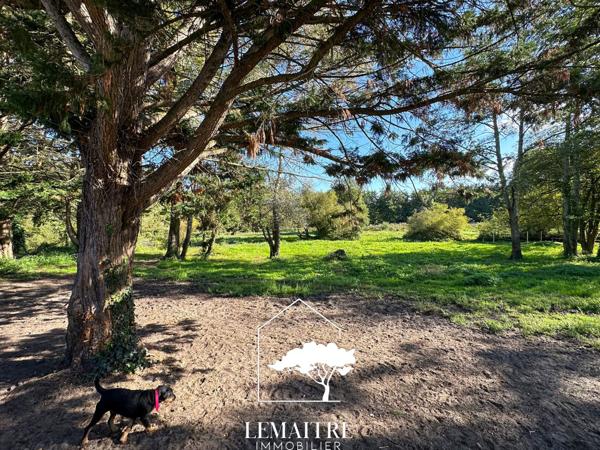 Propriété équestre à vendre Les Mathes – Maison 118 m² –