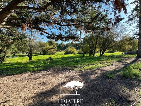 Propriété équestre à vendre Les Mathes – Maison 118 m² –