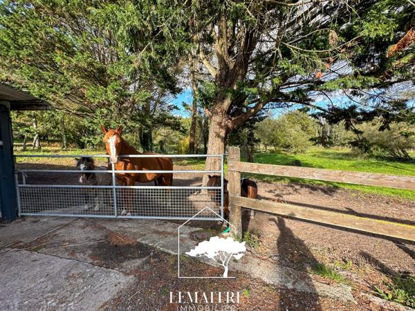 Propriété équestre à vendre Les Mathes – Maison 118 m² –