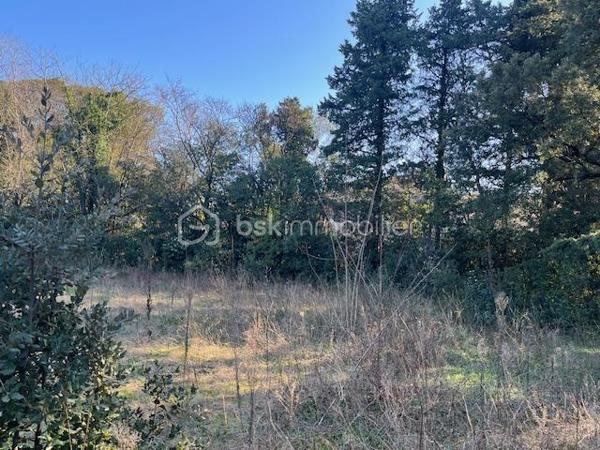 Terrain de 1 121 m²