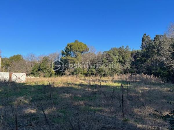 Terrain de 1 121 m²