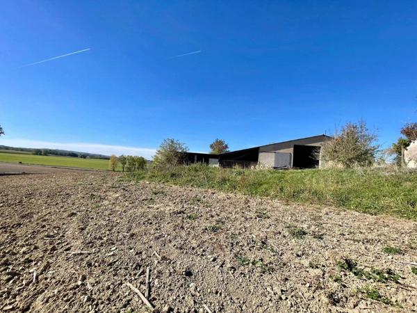 Hangar à Fénols (81)