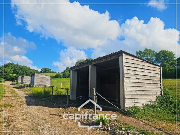 Propriété en pierre avec installations équestres complètes à 30 minutes d'Agen