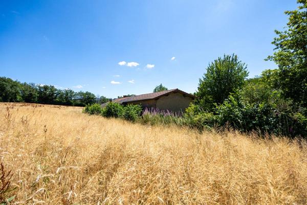 Corps de ferme authentique sur 26 000 m² de terrain attenant