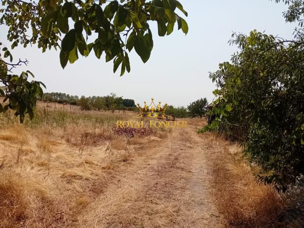 Vue sur la campagne, venez vous implanter dans ce pavillon  avec un hectare attenant