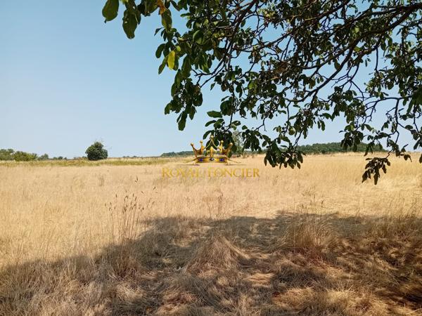 Vue sur la campagne, venez vous implanter dans ce pavillon  avec un hectare attenant