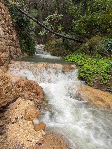 Maison à vendre à Vence (06140) - Alpes-Maritimes