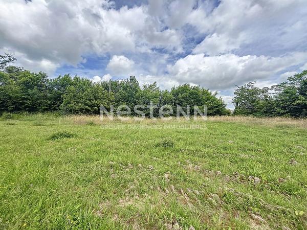 Terrain à vendre de 3475 m² à Chanteix - La Borderie