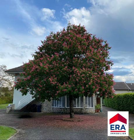 Maison familiale avec sous-sol complet et piscine