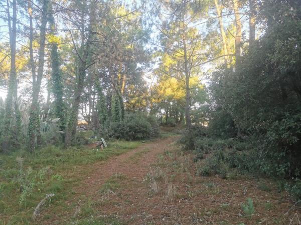 Terrain Saint Jean De Monts