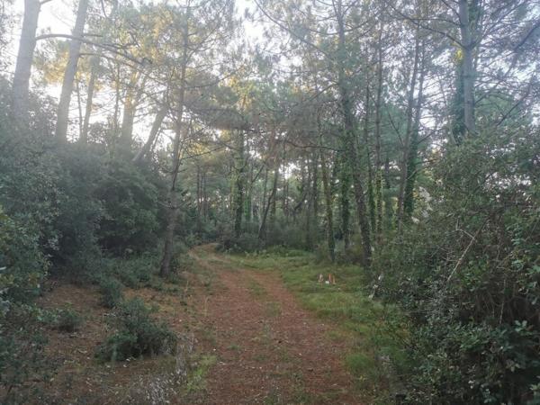 Terrain Saint Jean De Monts