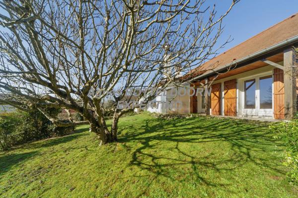 Idron (64320) HAUT IDRON - MAISON 7 PIECES 175 M2