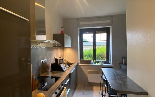 Appartement à louer    2 pièces •  Schiltigheim