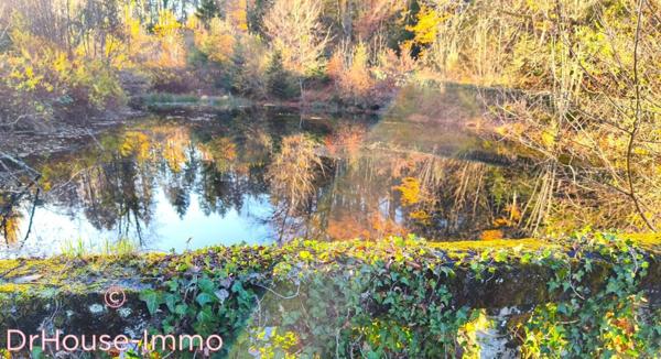 Château à vendre 12 pièces de 750 m²