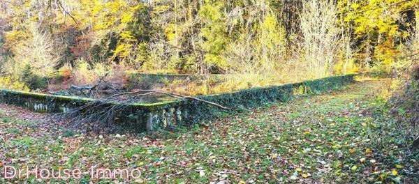 Château à vendre 12 pièces de 750 m²