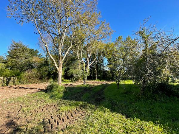 Terrain à bâtir à Sarzeau secteur de Landrezac de 569 m2 - plage à pied