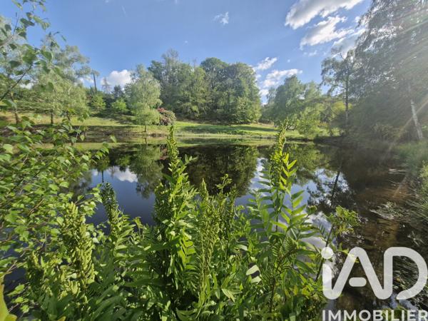 Terrain à vendre 22 449 m² Cognac-la-Forêt