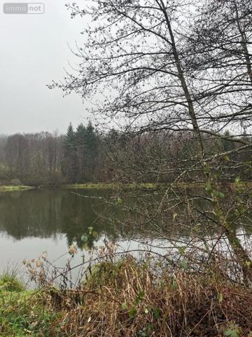 Propriete à vendre à Épinal dans les Vosges (88000), ref : CMA