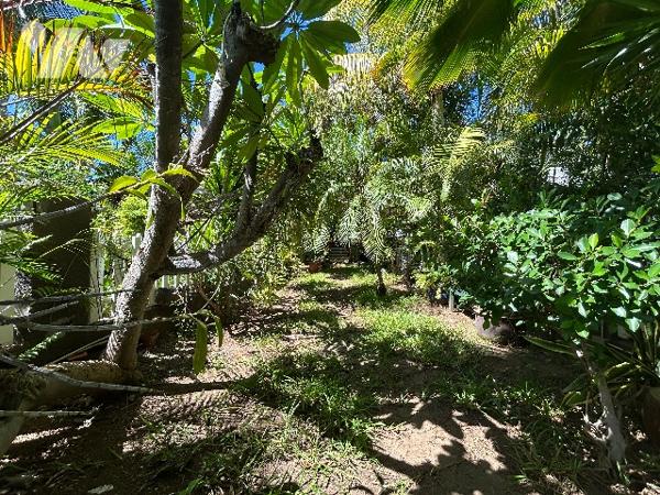 Appartement 100 m² avec jardin privatif face à la plage à SAINT-GILLES LES BAINS