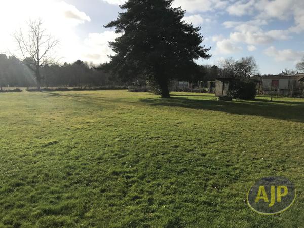 Vente terrain Lesparre Medoc : 79 000 € - AJP Lesparre Immobilier